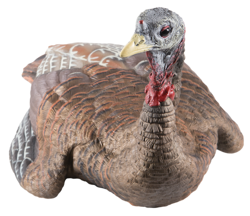 Allen Earth Tone Handgun Case made of Endura with Textured Green Finish, Full Length Zipper & Foam Padding 13" L AVX-AVX8011