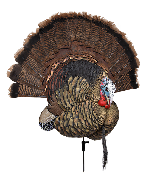 Allen Earth Tone Handgun Case made of Endura with Textured Green Finish, Full Length Zipper & Foam Padding 13" L AVX-AVX8021