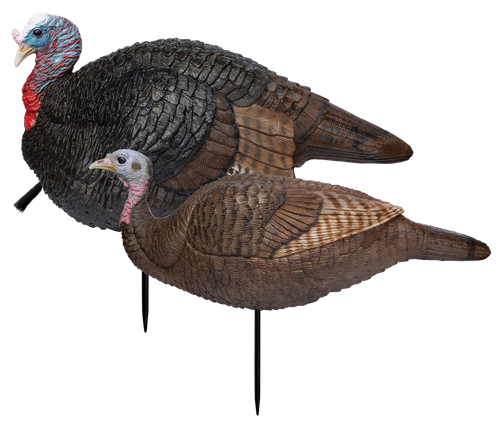 Primos Lil' Gobblestopper Jake & Hen Combo Turkey Species Multi Color