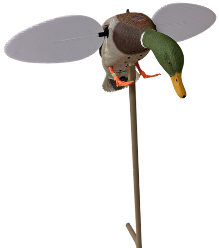 [816740004921] Mojo Silver Mallard "25th Anniversary" Decoy