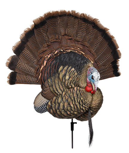 [810280080216] Allen Earth Tone Handgun Case made of Endura with Textured Green Finish, Full Length Zipper & Foam Padding 13" L AVX-AVX8021