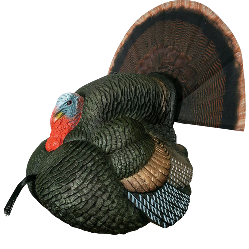 [010135690762] Primos Lil' Gobblestopper Strutter Box Call Turkey Sounds